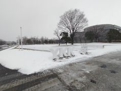 �L���Y����̂x�j�j�Z���^�[�p�[�N�ւ̓��e�ʐ^1