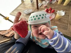 mikashirahamâ񂽃t@[ւ̓eʐ^1