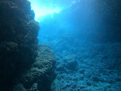 [̃}T[rXނʁ[ւ̓eʐ^1