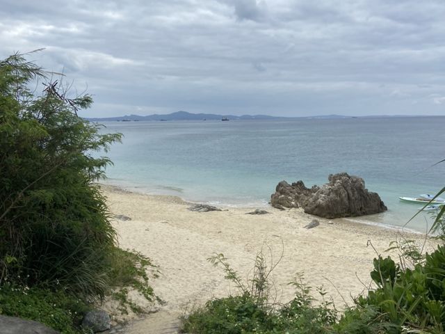 �܂��s�������I�I_CLEARSUP JAPAN�y75�}�����z�h���[����B�f���ʐ^�B�����!