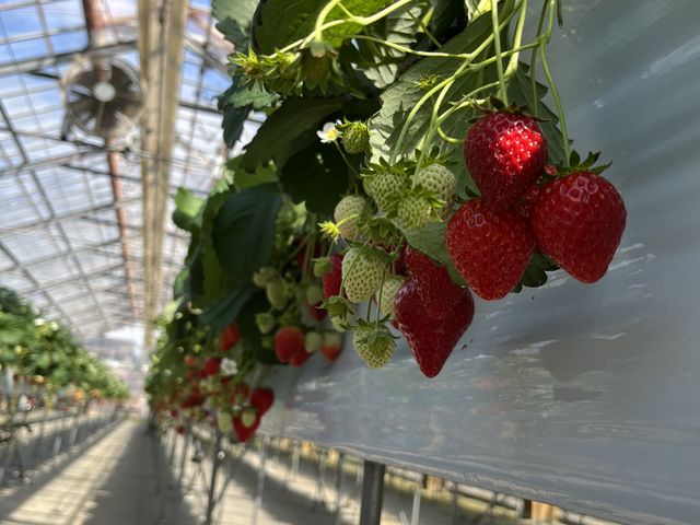 �܂��s������_���R��������