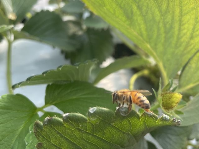 �n�`��������܂���_�����_��