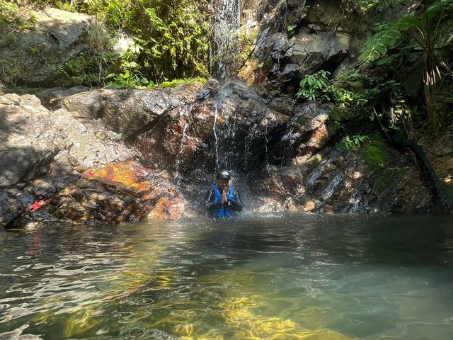 �鋫�̑�g���b�L���O_�䂤����