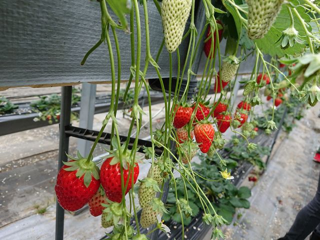 �㉺䕂���܂�_�܌j�r�ӂ�`��