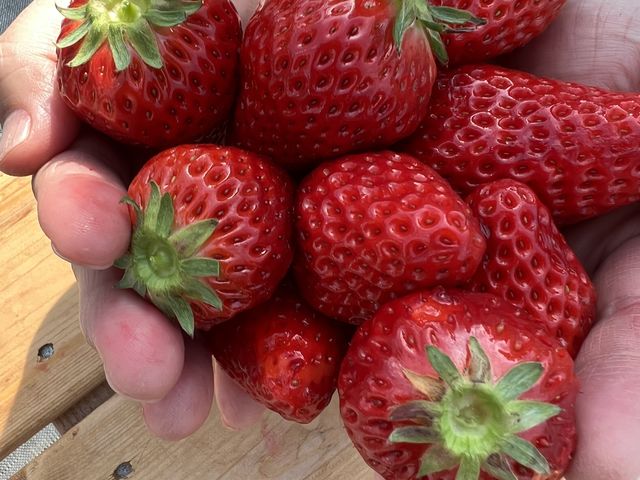 �^���ԂȂ������A��A�������ς�_�c�������_��