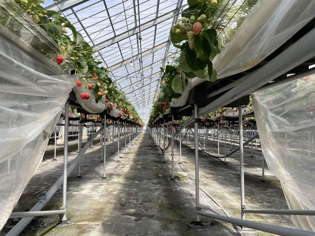 �H�׍�����ڂł킩�鍂���ł��B_�C�ӂ̂�������