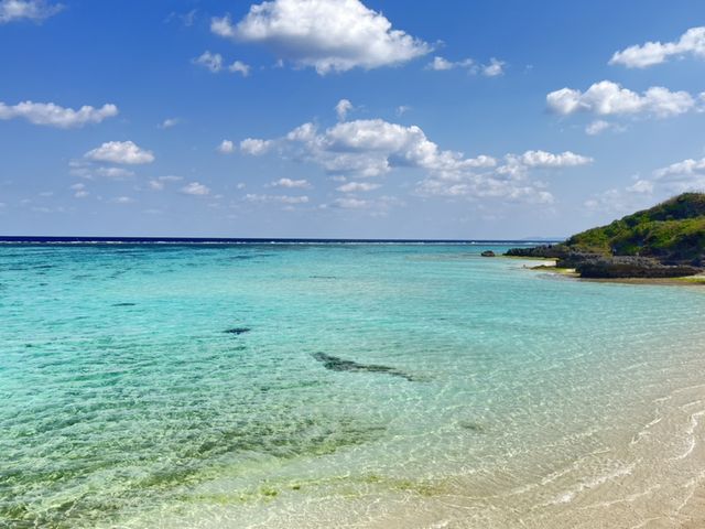 �����ʂ����C�I�Y��_CLEARSUP JAPAN�yNAKIJIN�}�����z�h���[����B�f���ʐ^�B�����!