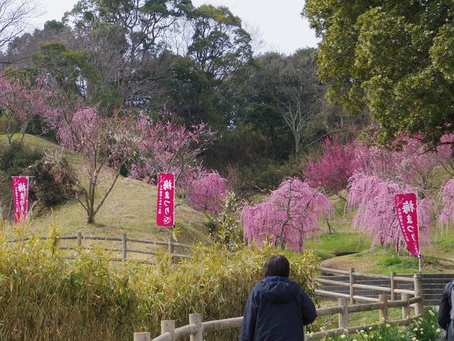 �S�i���B�e�ł��܂���ł����̂ŁA�ꕔ�ł������͋C�����ł��B_�L�c�~�тӂꂠ������