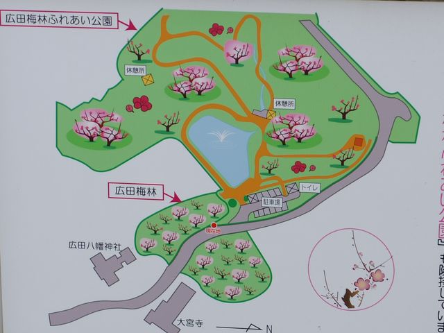 �L�c�~�тƍL�c�~�тӂꂠ�������̈ʒu�}�ł�_�L�c�~�тӂꂠ������