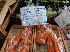 ̋Gߑ̌_@Ԃ̊Cւ̓eʐ^1