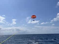 ₽񂳂̐Ί_u[V[T[ւ̓eʐ^1