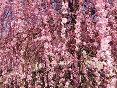 TNTN̗鎭̐X뉀ւ̓eʐ^2