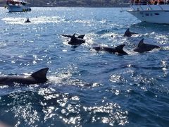 ��������̃C���J�N���u�ւ̓��e�ʐ^1