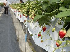 䂤̂ӂ˃t[cp[Nւ̓eʐ^1