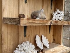 񂳂̐\Jk[cA[̂тՂՂûՂvւ̓eʐ^4