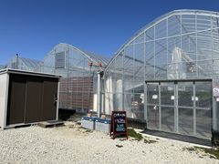 悤񂳂̌c_ւ̓eʐ^3