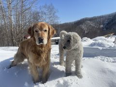 _񂳂̏tz[X`ւ̓eʐ^2