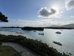 񂳂̐Ί_cA[KChI[u[ւ̓eʐ^1