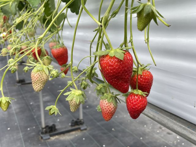 ���Ԃ�ł��\���Â�����_�Ȃ���䕔_��