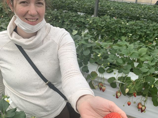 ������_���R��������