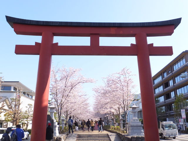 ��̒���_�i��