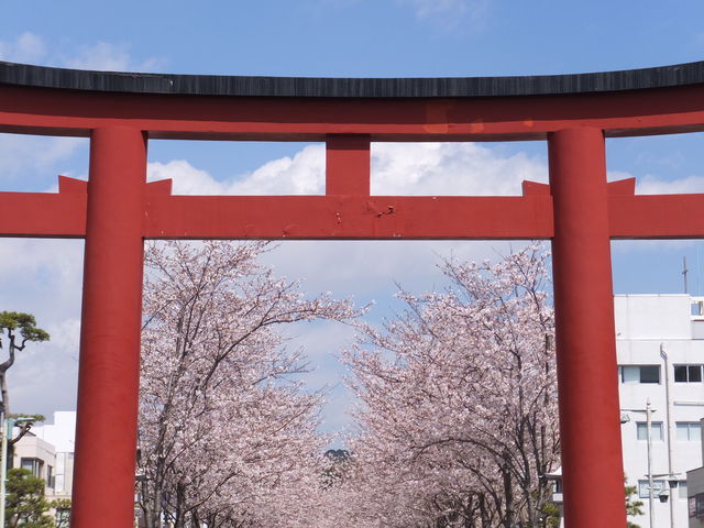 ���J�̍�_�i��