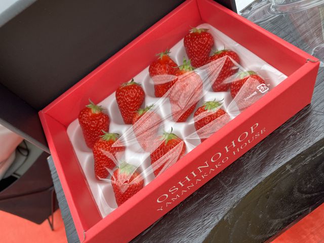 �����i��E�ނ��������
���߂Ăł����B_OSHINO HOP