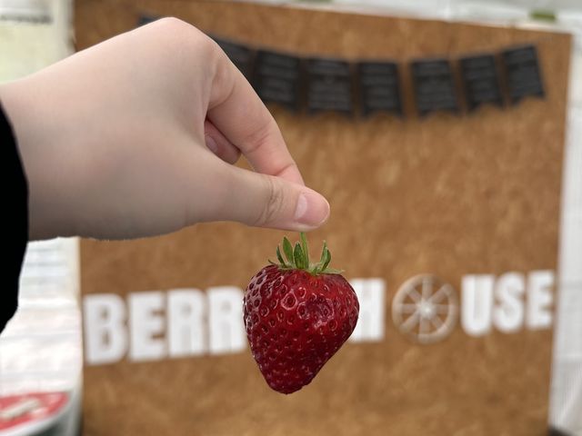 �f���I_BERRYHOUSE