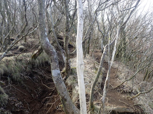 ����A��E�z�O�x