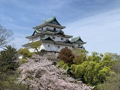 񂿂񂳂̘a̎Rւ̓eʐ^1