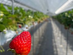 킿񂳂LIP~K~ւ̓eʐ^1