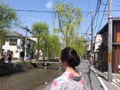 ���ނ���̋��̕���@�_���{�X�ւ̓��e�ʐ^1