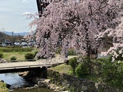 ��������̂��Ӑ������R�����ւ̓��e�ʐ^1