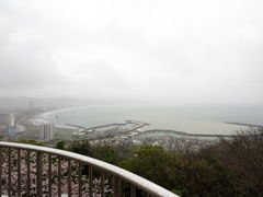 炽񂳂̋˓W]ւ̓eʐ^2