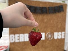 񂳂BERRYHOUSEւ̓eʐ^1