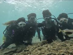 Ƃςς̃_Cu (MalDive)ւ̓eʐ^1