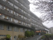 �G�M���K�[�P�Q������̓��{�ό��z�e�������̓��e�ʐ^1