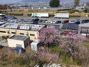 ڂ̎߉ޓp[LOGAijXibNR[i[̓eʐ^1