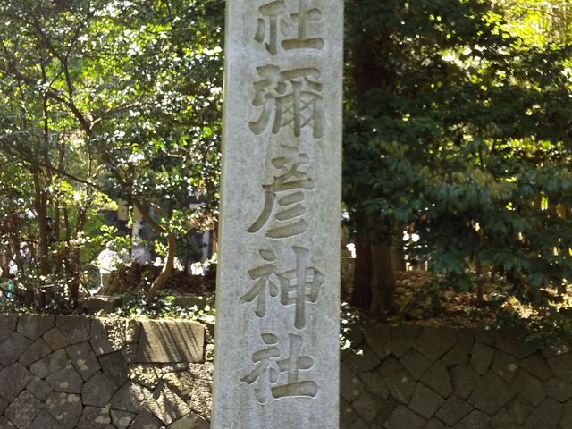 �\�F�_�ЇA_�\�F�_��