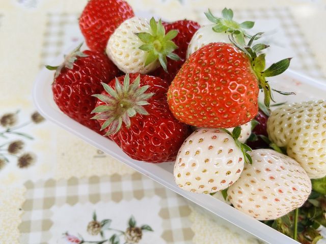 �c�菭�Ȃ����������������ėǂ������ł�_���������_��