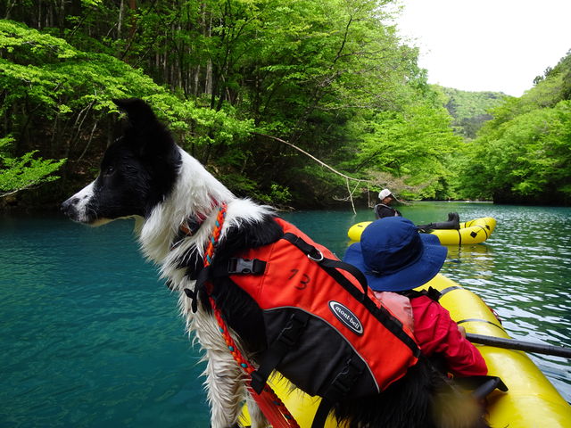 �y�����v���o�����肪�Ƃ��������܂�����_�����h���b�v�@�A�E�g�h�A�K�C�h�T�[�r�X