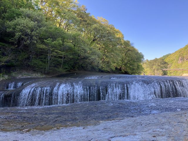 �����͐��ʂ����Ȃ�_�����̑�