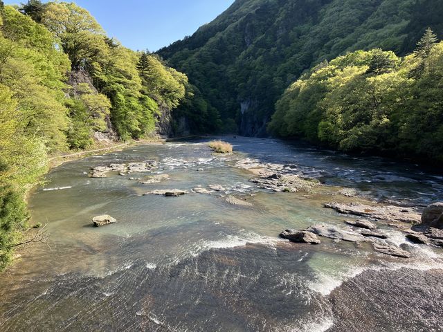 ���������牺������_�����̑�