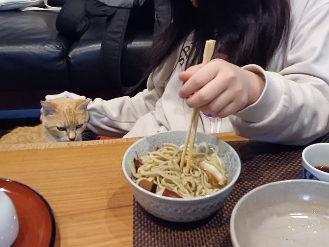 �L�B�l�������B_���R�Ȃ�����