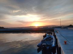 ܂񂳂̏ucA[ւ̓eʐ^1