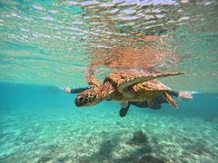 ͂邳CHURA{Óւ̓eʐ^1