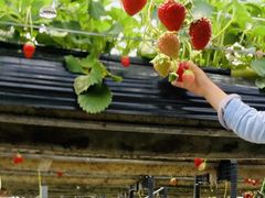 ₩񂳂̈h-ؔV_-ւ̓eʐ^2