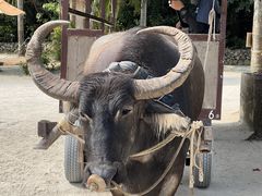 asox̔dRόtF[ւ̓eʐ^1