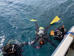 Sea connection̎ʐ^16