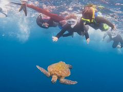 EXPSHISHIΊ_ւ̓eʐ^1